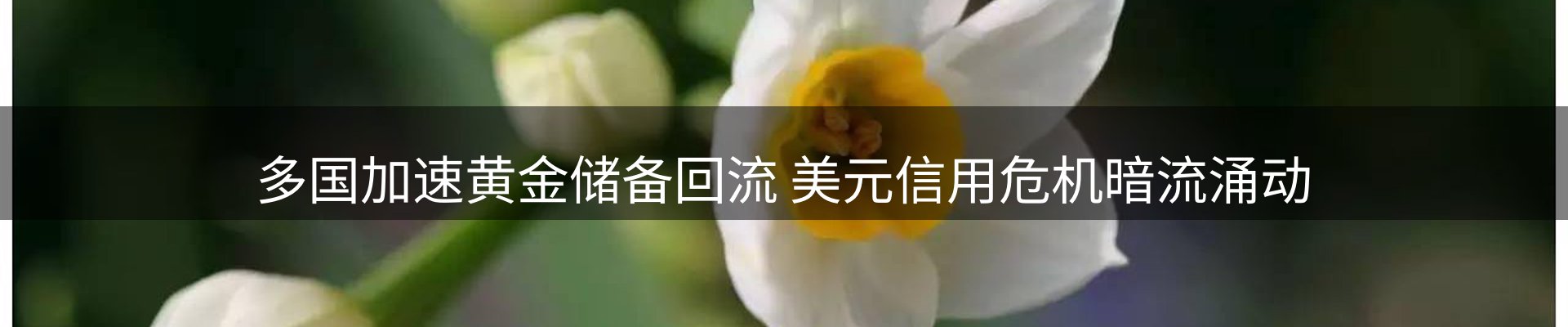 一周动态